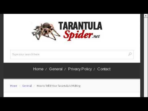 camera iphone 8 plus apk How-To Know If A Pet Tarantula Is Sick