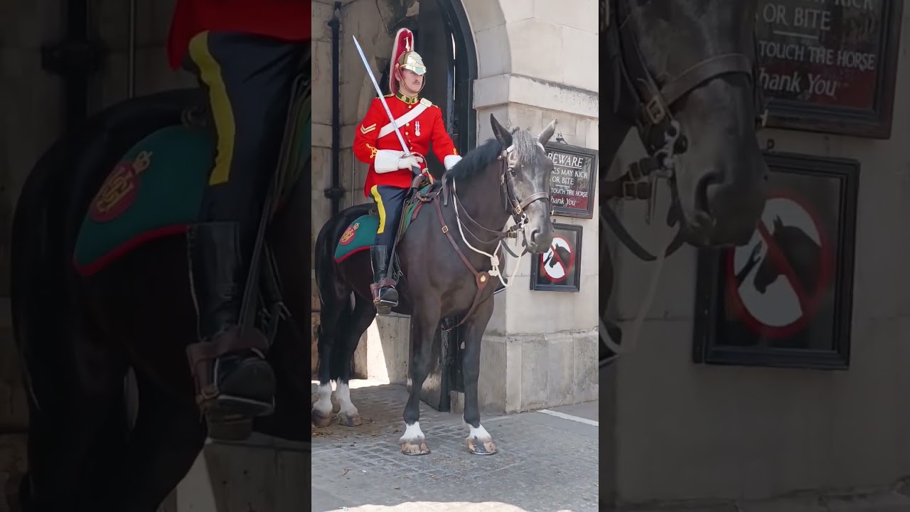 The horse guard parade 
