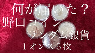 【我思ふ】野口コインで買ったランダムブランド銀貨１オンス５枚を紹介 #9