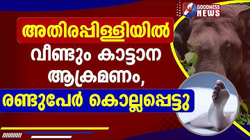 അതിരപ്പിള്ളിയിൽ വീണ്ടും കാട്ടാന ആക്രമണം, രണ്ടുപേർ കൊല്ലപ്പെട്ടു | ELEPHANT ATTACK | GOODNESS NEWS