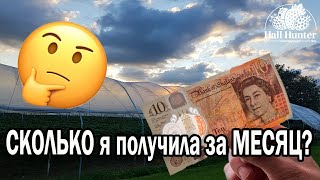 видео: СКОЛЬКО Я ПОЛУЧИЛА ЗА МЕСЯЦ НА ФЕРМЕ В АНГЛИИ | Полная зарплата за месяц картинка: СКОЛЬКО Я ПОЛУЧИЛА ЗА МЕСЯЦ НА ФЕРМЕ В АНГЛИИ | Полная зарплата за месяц