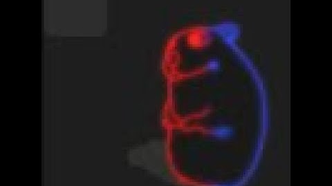 How to get Opposite Chomik (revamped)