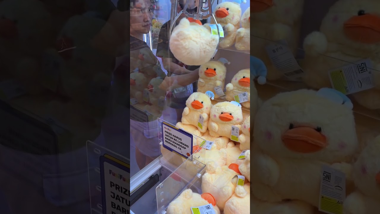 mesin capit ohsome bebek