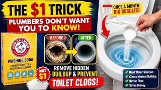 Plumbers Hate This $1 Toilet Trick! Remove Hidden Pipe Buildup Naturally