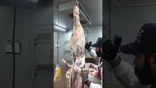 Beef Hindquarter breakdown part one