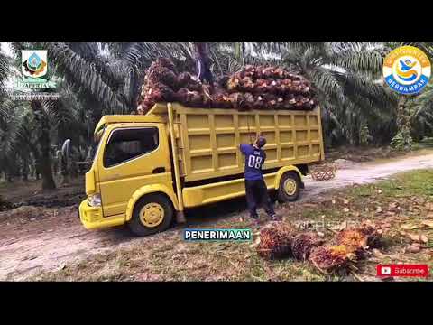 POPK FURAB ALA PLANTERS - Ersa Luqia Dida Harahap