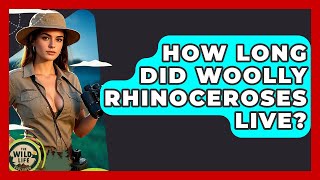 How Long Did Woolly Rhinoceroses Live? - The Wild Life Explorer