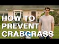 How to prevent  control crabgrass