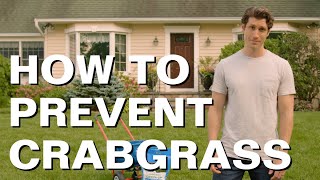 How to Prevent & Control Crabgrass