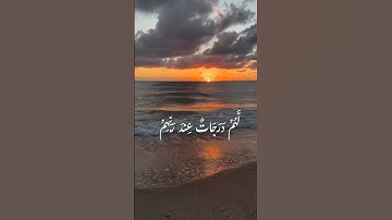 قرآن كريم #قرآن #المنشاوي