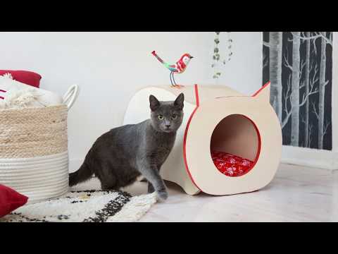 Vidéo: 3 façons d'amener votre chat à utiliser un point de grattage