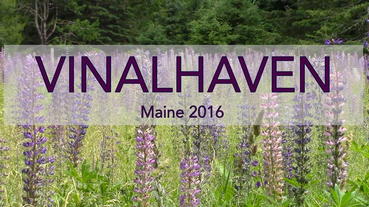 Vinalhaven Maine YouTube
