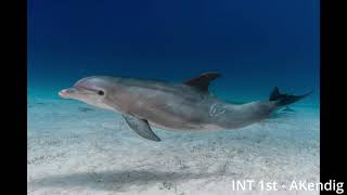 Photo Contest Slideshow 2024 June