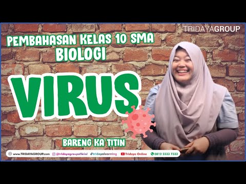 Video: Bagaimanakah vektor virus berfungsi?