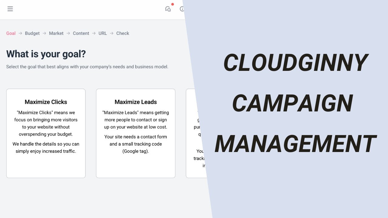 Google Ads on Autopilot: Cloudginny’s Campaign Management