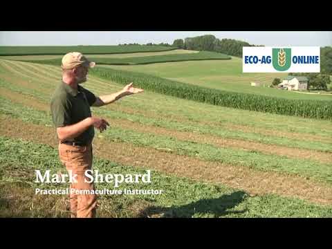 Contour Gardening: The Simple Way to Fix a Sloped Garden
