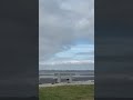 Abida Parveen | Ft. Crescent Beach Vibe