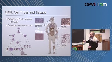 Peter Kharchenko: "Single-cell analysis of heterogeneity in normal and disease tissues"