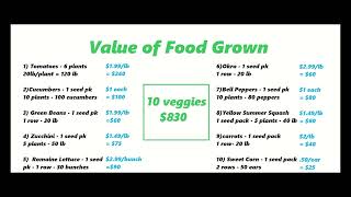 What is the Cost to Grow a Garden in the Back Yard? by The Back Garden Yard  222 views 4 months ago 13 minutes, 34 seconds