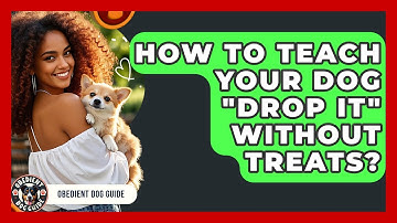 How To Teach Your Dog "Drop It" Without Treats? - Obedient Dog Guide