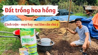 Top 11 cách làm đất trồng hoa hồng chậu đặc sắc nhất năm 2022