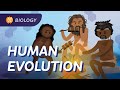 Human Evolution We Didn T Evolve From Chimps Crash Course Biology 19 Human Evolution We Didn T Evolve From Chimps Crash Course Biology 19