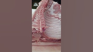 meat cutting in processing factory #shorts