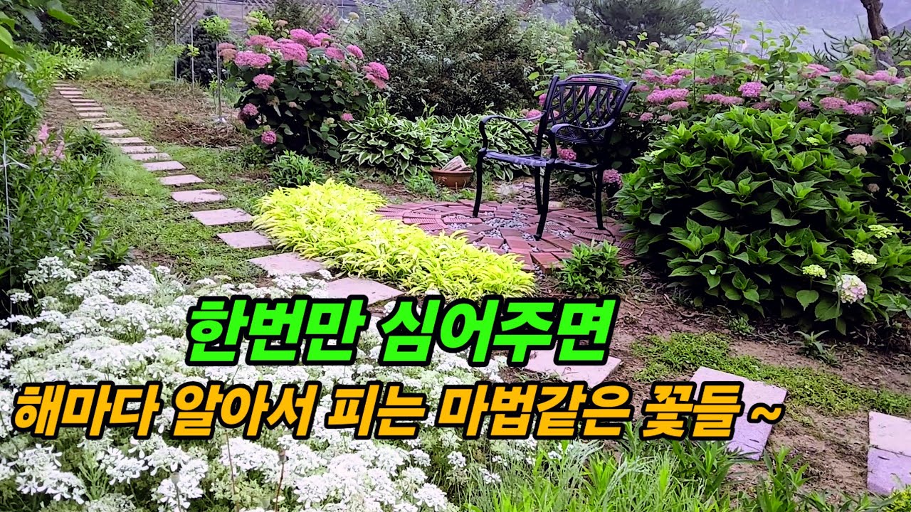 최소 노력으로 최대한의 아름다움을 뽐내는정원