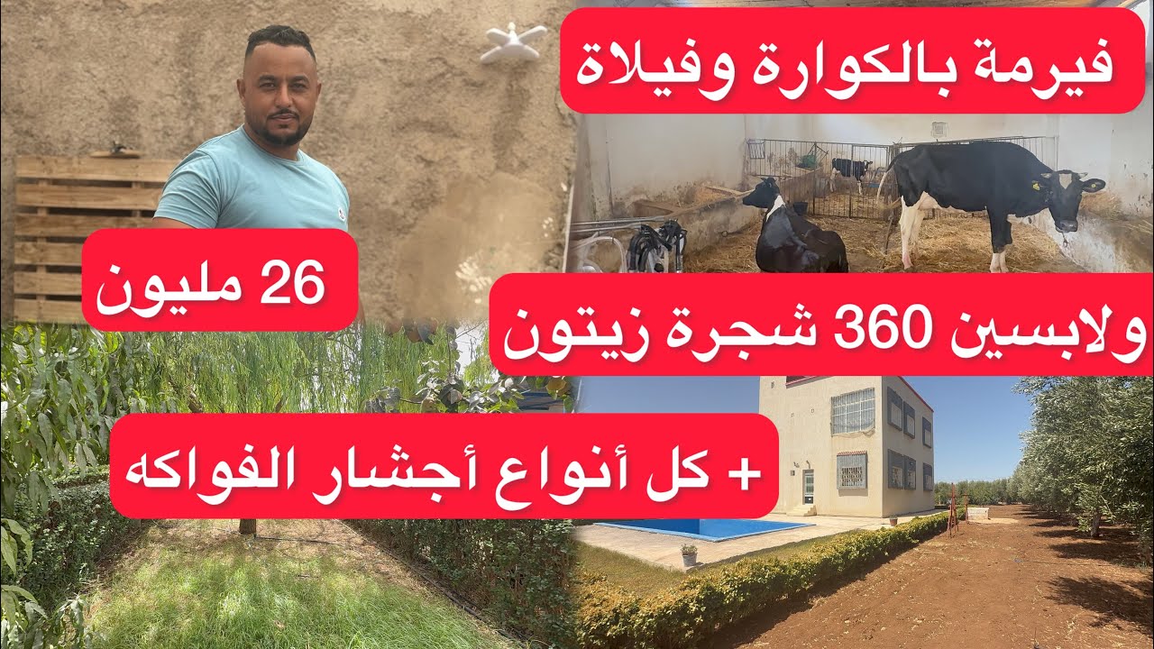 الله على فيرمة مجهزة بالڤيلاة ولابسين واشجار زيتون ايضا الكوارة ديال الماشية غير 126 مليون