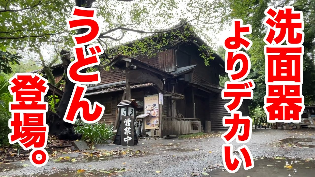 東京都国分寺市北町で 前代未聞の特大の丼 インパクト抜群の凄いやつが出てきた のらや国分寺店 恋ヶ窪のグルメの地域情報 一覧 Prtree ピーアールツリー 東京都国分寺市北町で 前代未聞の特大の丼 インパクト抜群の凄いやつが出てきた のらや国分寺店 恋ヶ窪のグルメの地域情報 一覧 Prtree ピーアールツリー