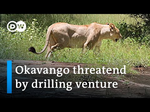 Namibia: Drilling for oil in paradise | Global Ideas
