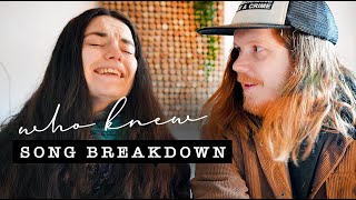 Who Knew song breakdown | Firewoodisland
