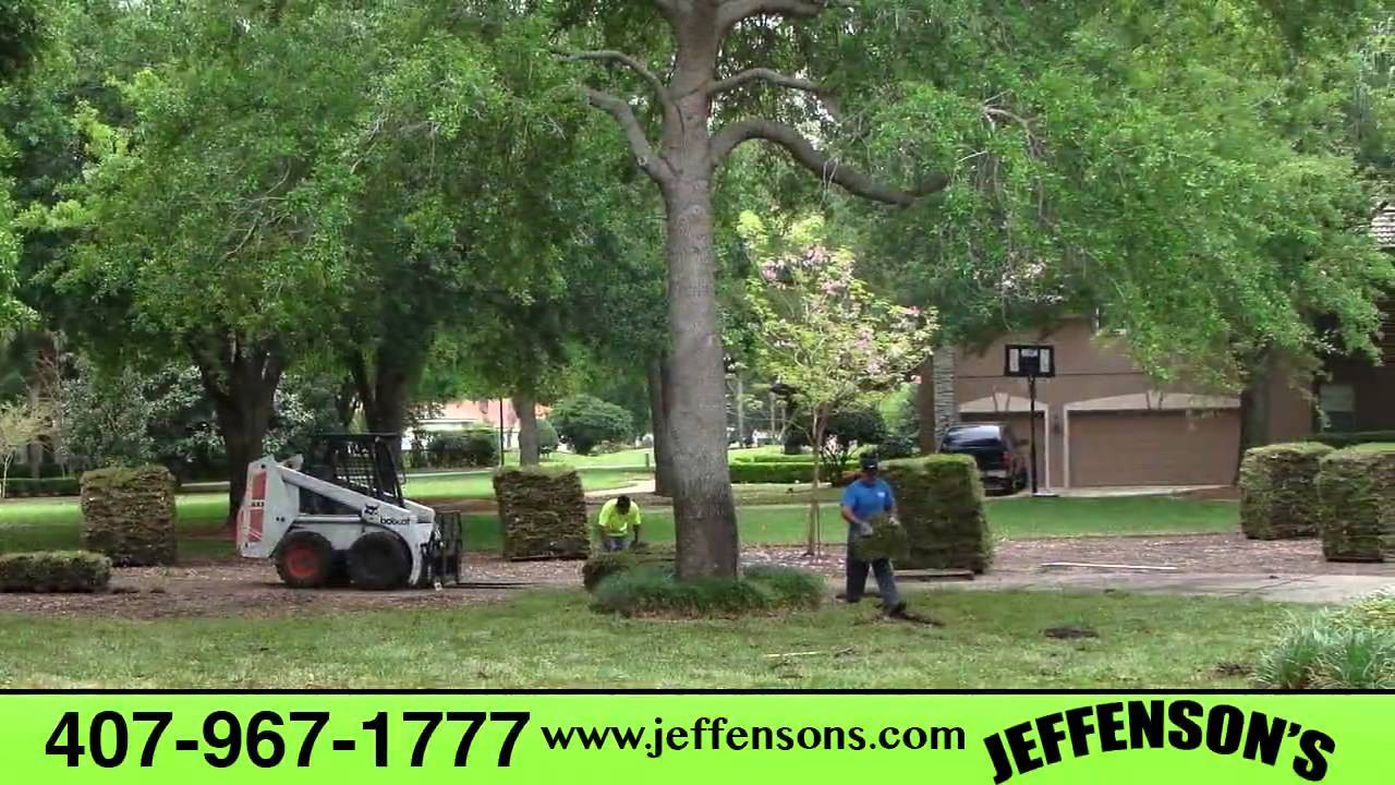 Jeffensons Tree Service Sod Installation Landscape Design