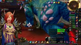 Finally level 80 Woo! My NE Death Knight and BE Paladin in WoW