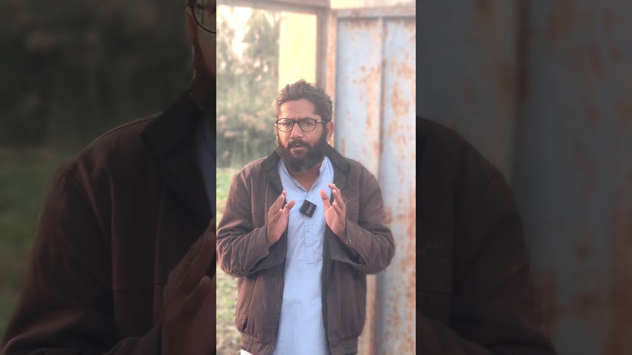 IBA JST & IBA BPS05-15 (Intermediate category)