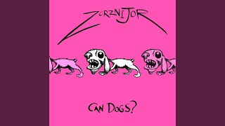 Can Dogs Be Gay?