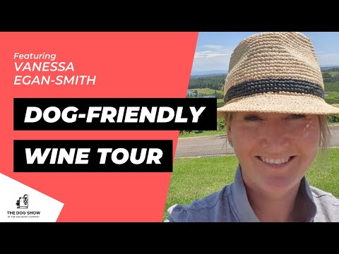 Video: Is de wijnmakerij van barboursville hondvriendelijk?