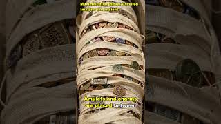 Ancient Egyptian Mummification Process | Step-by-Step Ritual Explained 🏺 #shorts #history