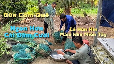 Bữa Cơm Ngon Hơn Cái Đám Cưới Là Có Thật Cá Hủn Hỉn Kho Mắm Miền Tây | Cldv #753