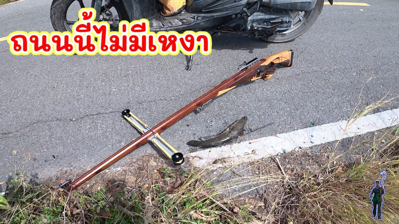 ถนนติดนา มีปลาทุกเส้น
