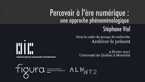 Stéphane Vial - Percevoir à l