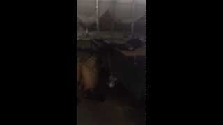 EPS AUTO Batch Pre-expander HPS 1500 with second expansion