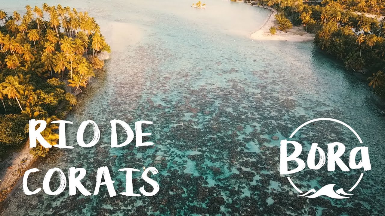 BORA #167 - NADANDO NUM RIO DE CORAIS! Que paisagem incrível (English/Spanish CC)
