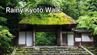 【4K】Rainy Walk at Hōnen-in Temple | Relaxing Kyoto Rain Sounds