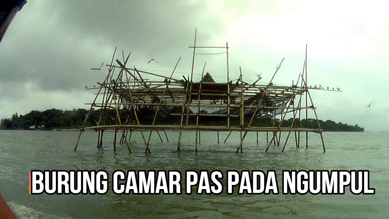 Pantai Bandengan Pulau Panjang Jepara Vlog 7