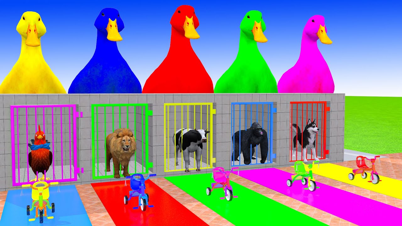 Long Slide Game With Cow Elephant Gorilla Hippopotamus Tiger 3d Animal Game Funny 3d Animals