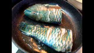 Fry parrotfish （in Chinese） 香煎青衣鱼