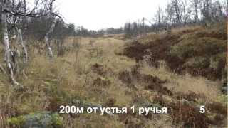 видео: Перевал Дятлова, ч.4а/5. Овраг 4ПЛ картинка: Перевал Дятлова, ч.4а/5. Овраг 4ПЛ