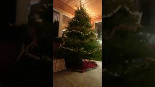 Christmas time!!!!!