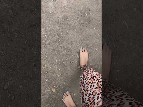 cute colour #youtubeshorts #vlog #viralvideo